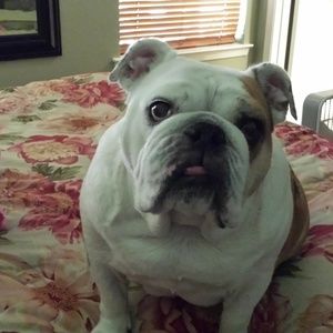 Meet your Posher, Karen